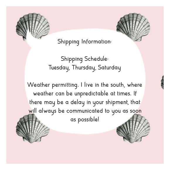 The Pioneer Woman Ceramic Christmas Ornament- Pie Spatula - Picture 7 of 7